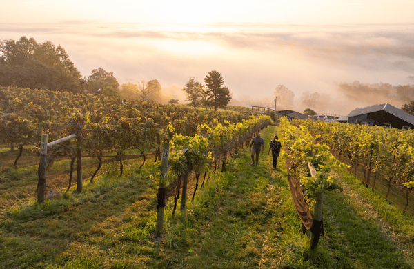 Virginia Raises a Glass to America's 250th Anniversary - by Virginia Tourism Corporation 